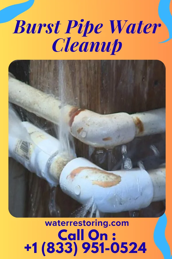Burst Pipe Water Cleanup in Kimberly, WI