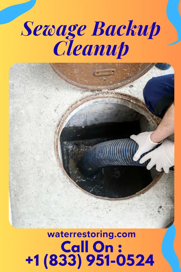 Sewage Backup Cleanup in Kimberly, WI